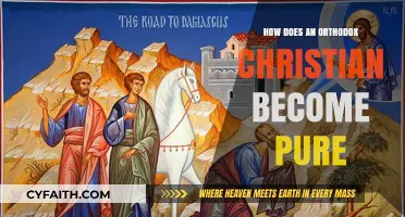 Attaining Purity: An Orthodox Christian's Journey to Holiness and Grace
