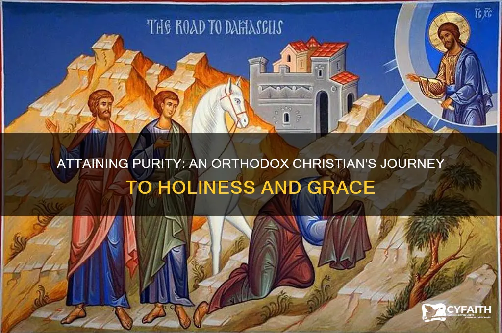 how does an orthodox christian become pure
