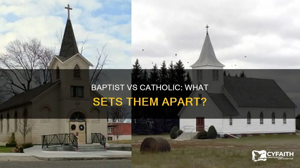 how does baptist differ from catholic
