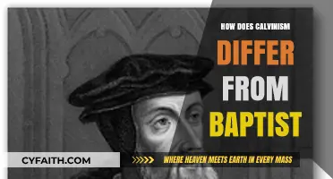 Exploring Theological Distinctions: Calvinism vs. Baptist Beliefs