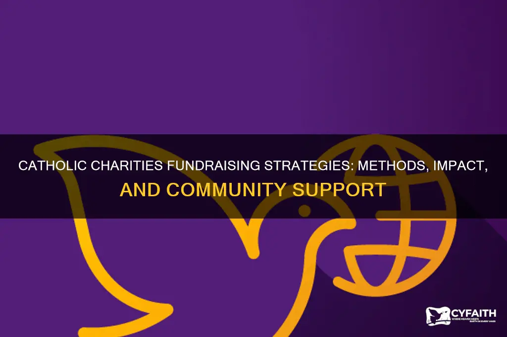 how does catholic charities fundraise
