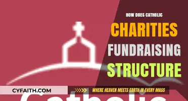 Catholic Charities: Fundraising Structure Explained