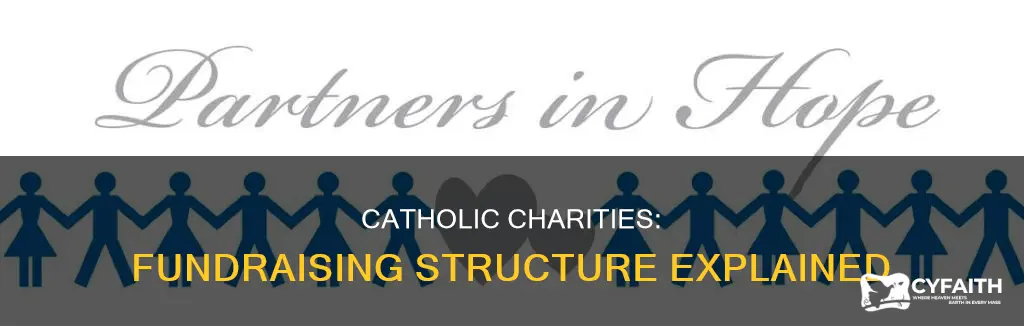 how does catholic charities fundraising structure