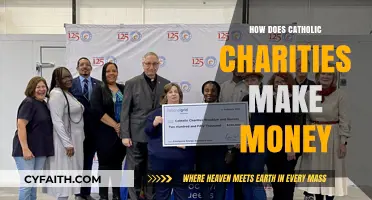 Catholic Charities: Funding Sources and Financial Insights