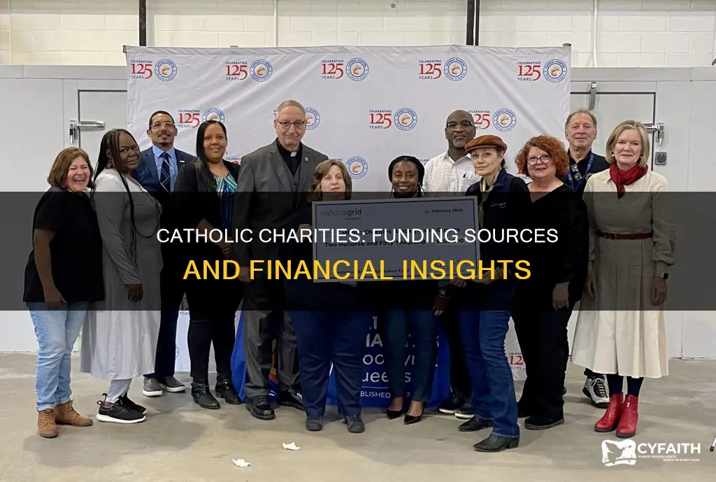 how does catholic charities make money