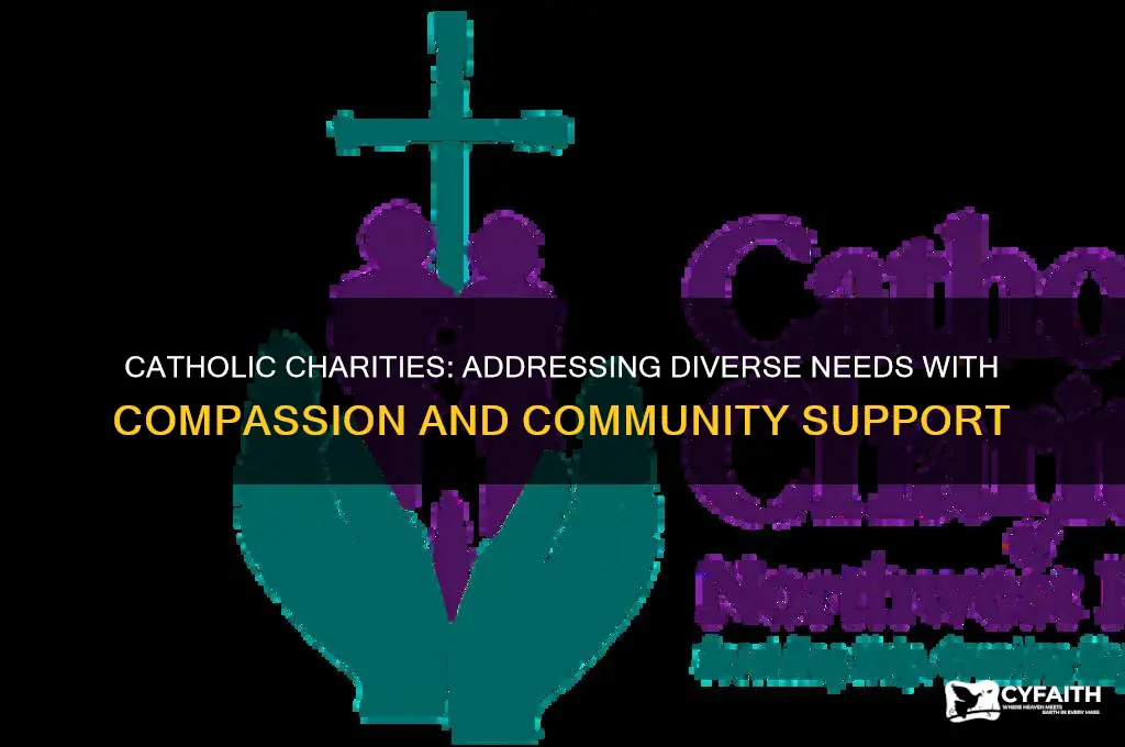 how does catholic charities meet the needs of people