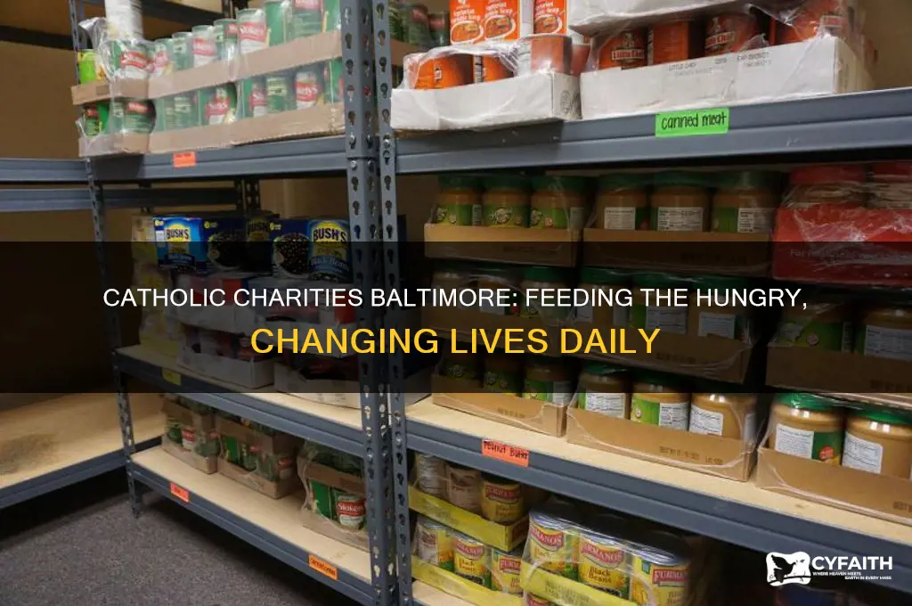 how does catholic charities of baltimore help the hungry