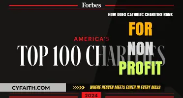Catholic Charities: Top-Ranked Non-Profit Organization