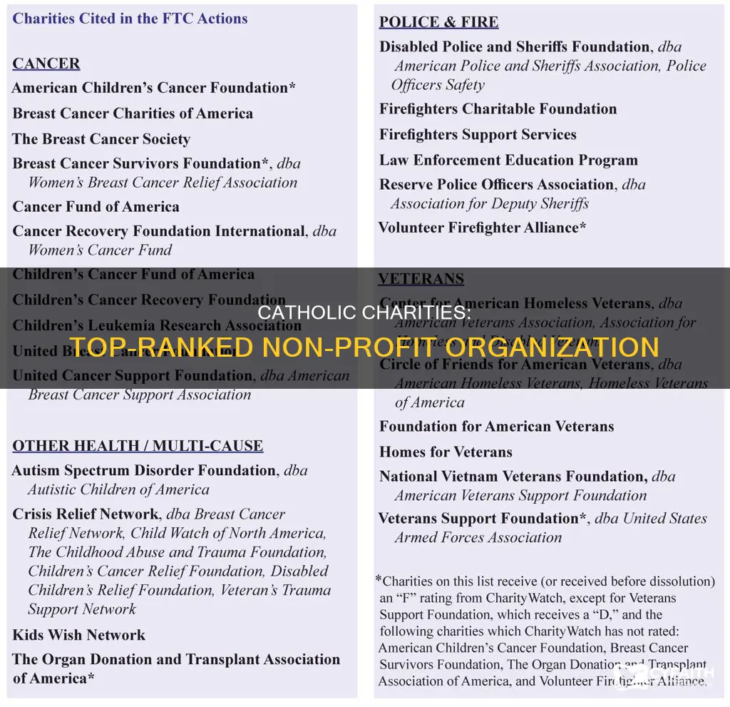 how does catholic charities rank for non profit