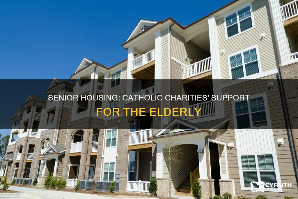 how does catholic charities senior housing work