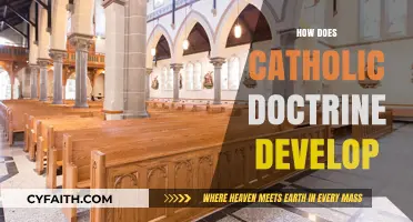 Understanding the Evolution of Catholic Doctrine: A Historical and Theological Journey
