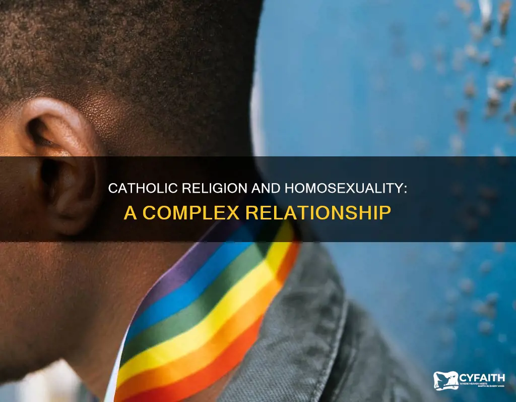 how does catholic religion affect homosexuality