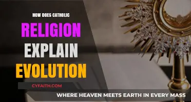 Catholic Faith and Evolution: Explained