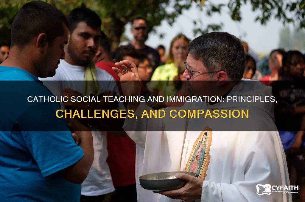 how does catholic social teaching come to bear on imigration