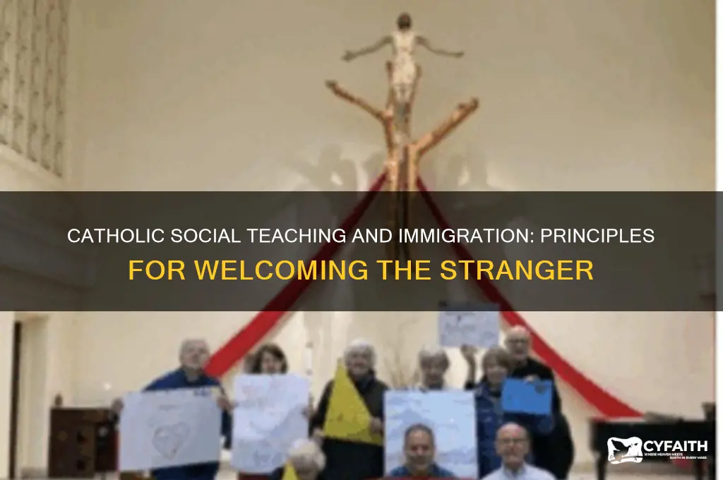 how does catholic social teaching come to bear on immigration