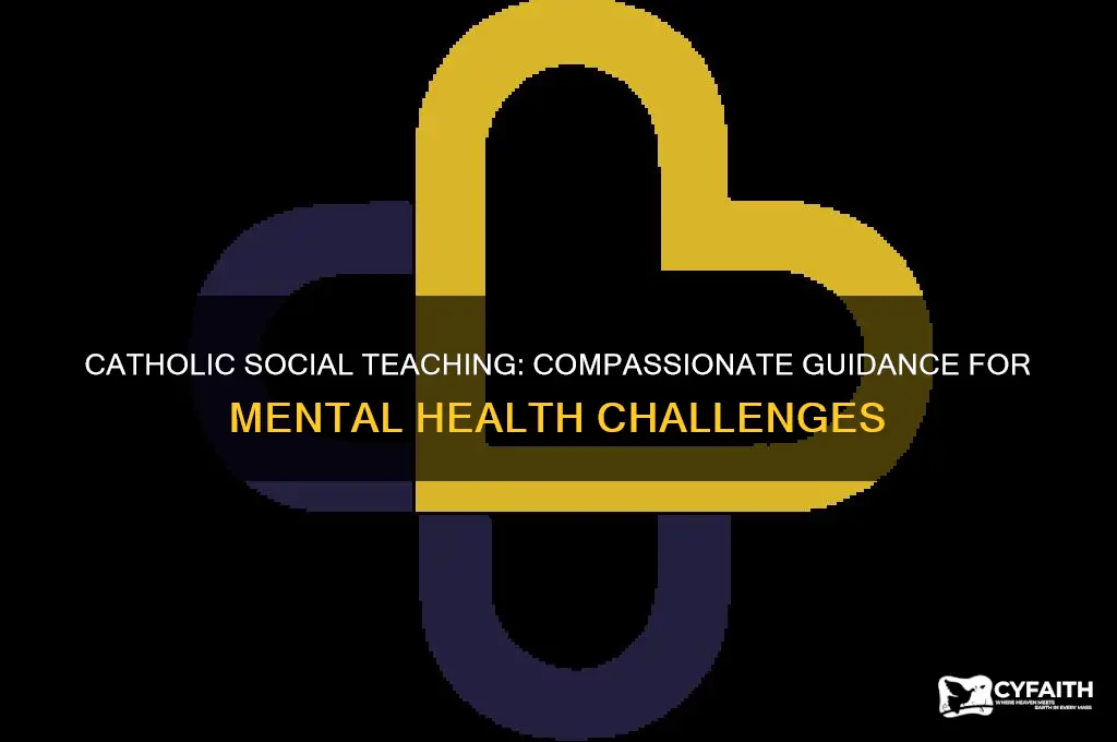 how does catholic social teaching inform on mental illnesses