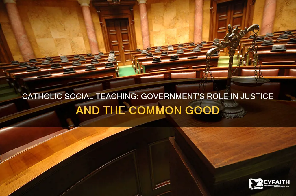 how does catholic social teaching view the role of government