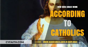 Understanding Grace: A Catholic Perspective