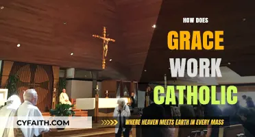 Understanding God's Grace: A Catholic Perspective on Its Workings