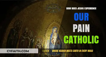 Jesus' Empathy: A Catholic Perspective on His Suffering