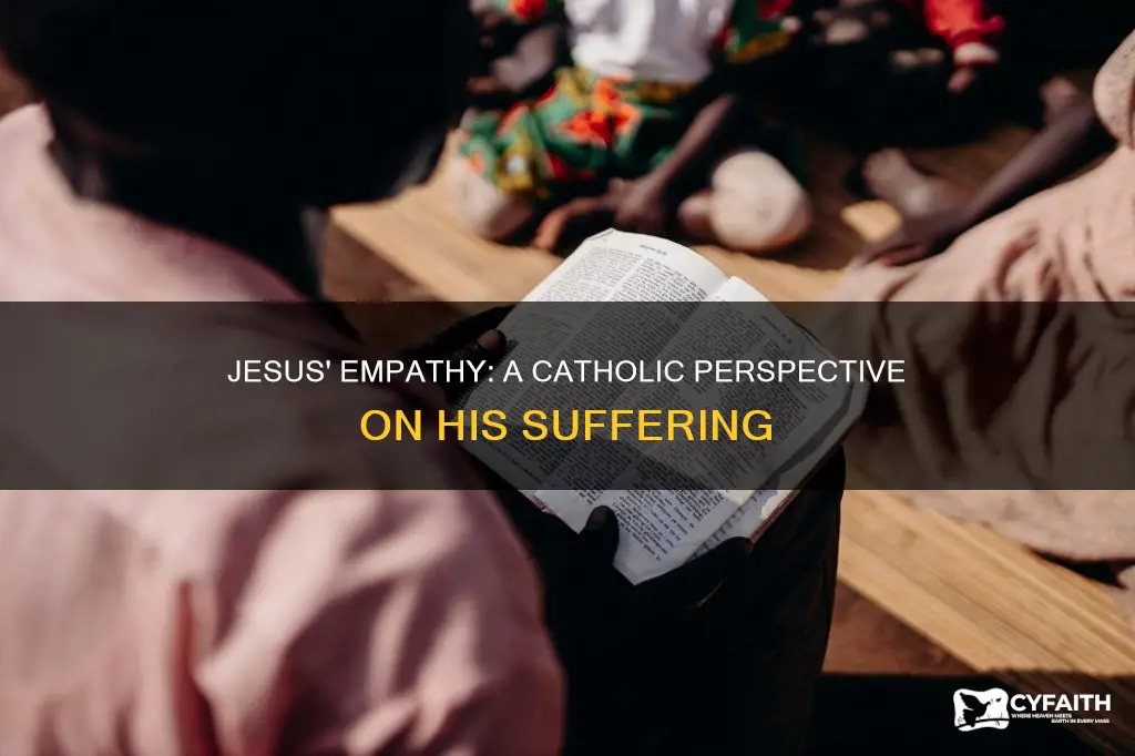 how does jesus experience our pain catholic
