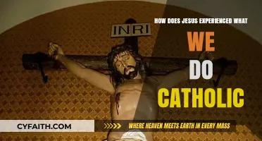 Jesus' Human Experience: A Catholic Perspective