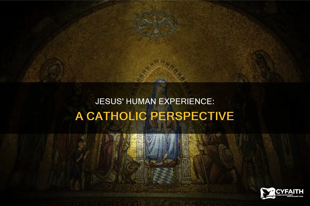 how does jesus experienced what we do catholic