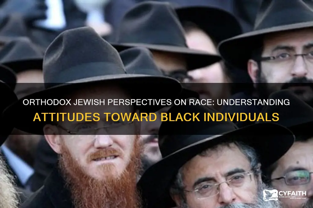 how does jewish orthodox feel about black ppl