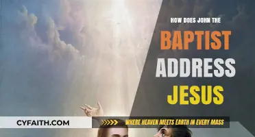 The Humble Encounter: John the Baptist's Reverent Address to Jesus