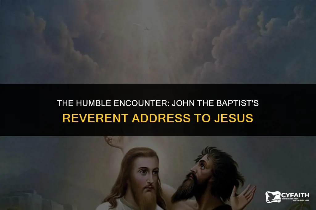 how does john the baptist address jesus