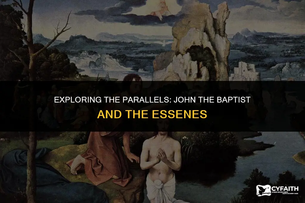 how does john the baptist parallel the essenes