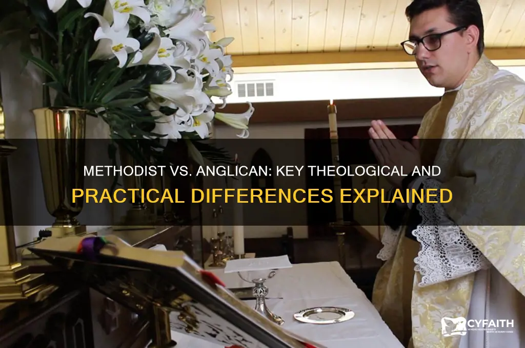 how does methodist differ from anglican
