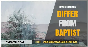 Exploring the Theological Differences Between Mormonism and Baptism