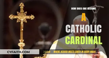 The Path to Becoming a Cardinal in the Catholic Church