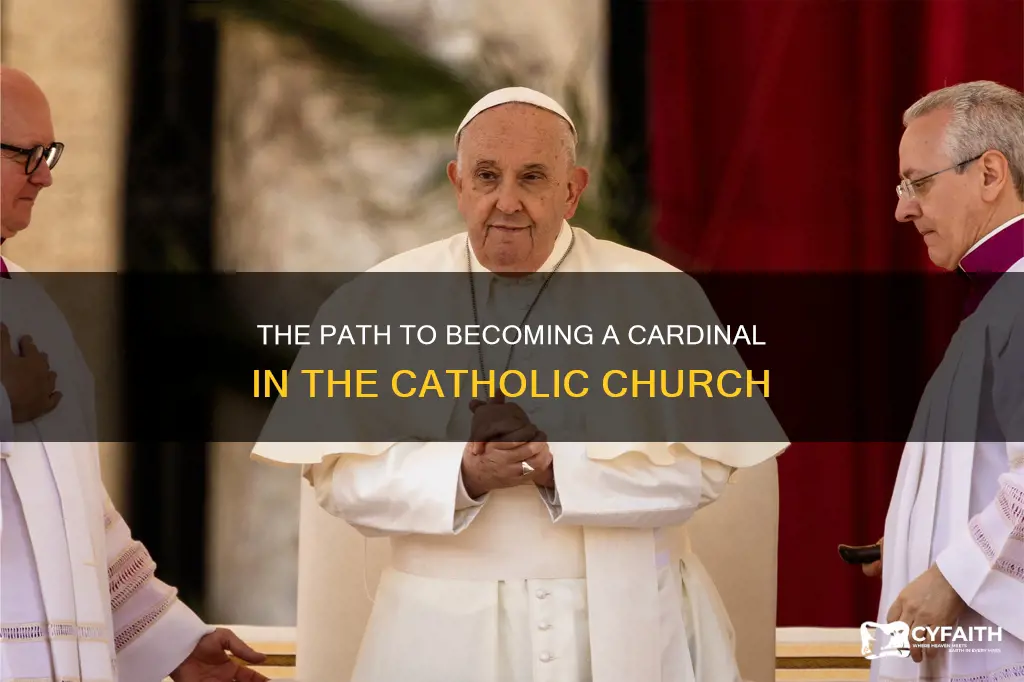 how does one become a catholic cardinal