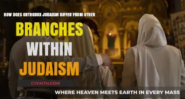 Orthodox Judaism vs. Other Branches: Key Differences Explained