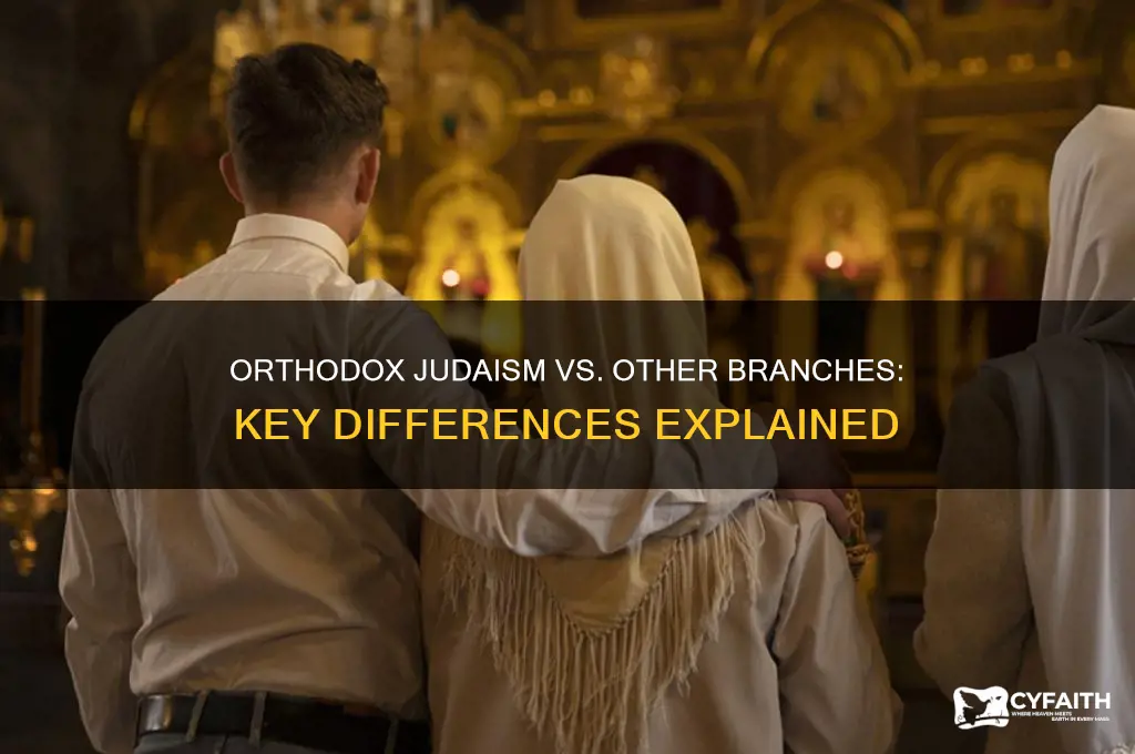 how does orthodox judaism differ from other branches within judaism