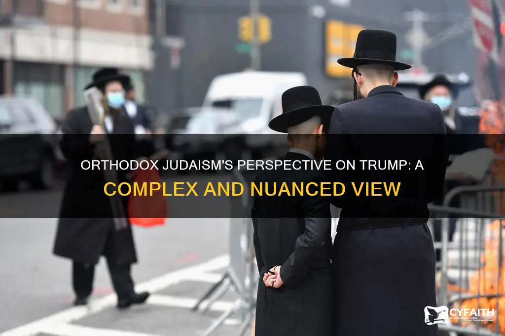 how does orthodox judaism view trump