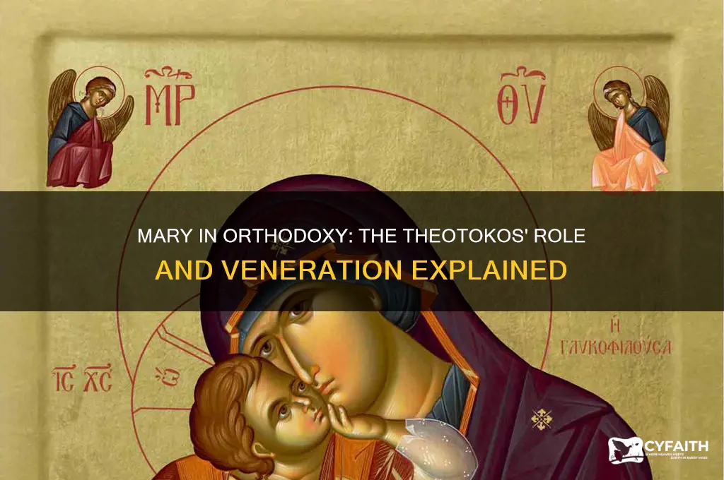how does orthodox think about mary