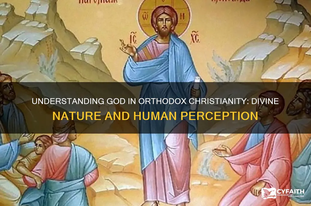 how does orthodox view god