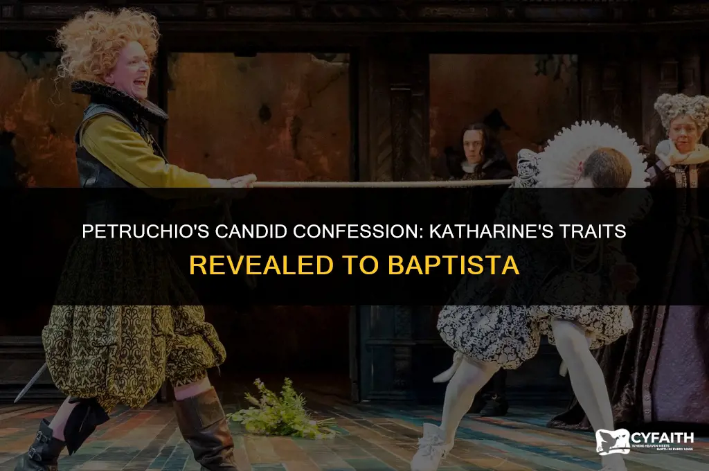 how does petruchio describe katharine during his discussion with baptista