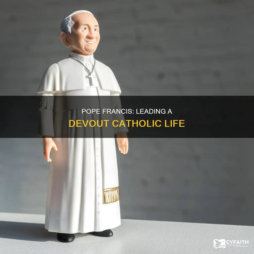 how does pope francis lead a catholic life