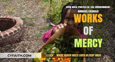 Environmental Stewardship: Fulfilling Catholic Works of Mercy for Creation
