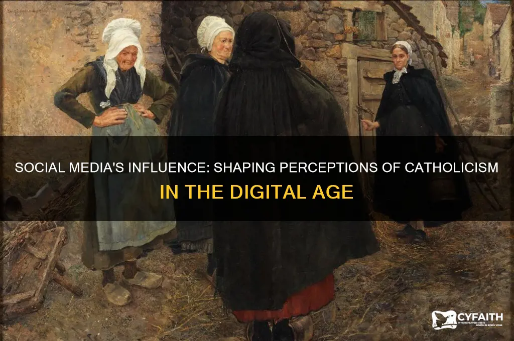 how does social media shapes our perspective of catholics