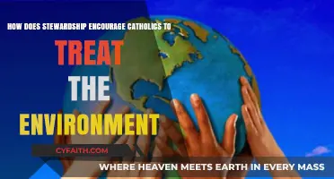 Stewardship's Call: Catholics' Environmental Responsibility and Care for Creation