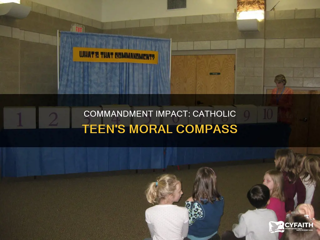 how does the 6th commandment affect catholic teens
