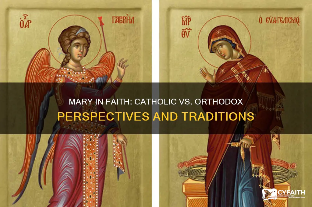 how does the catholic and orthadox view of mary differ