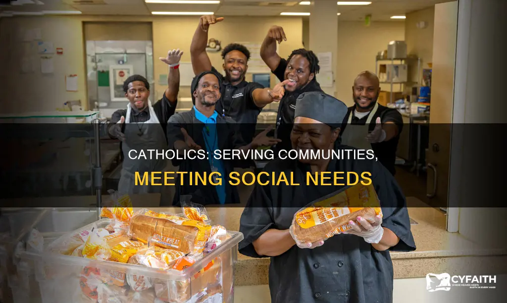 how does the catholic community meet social need