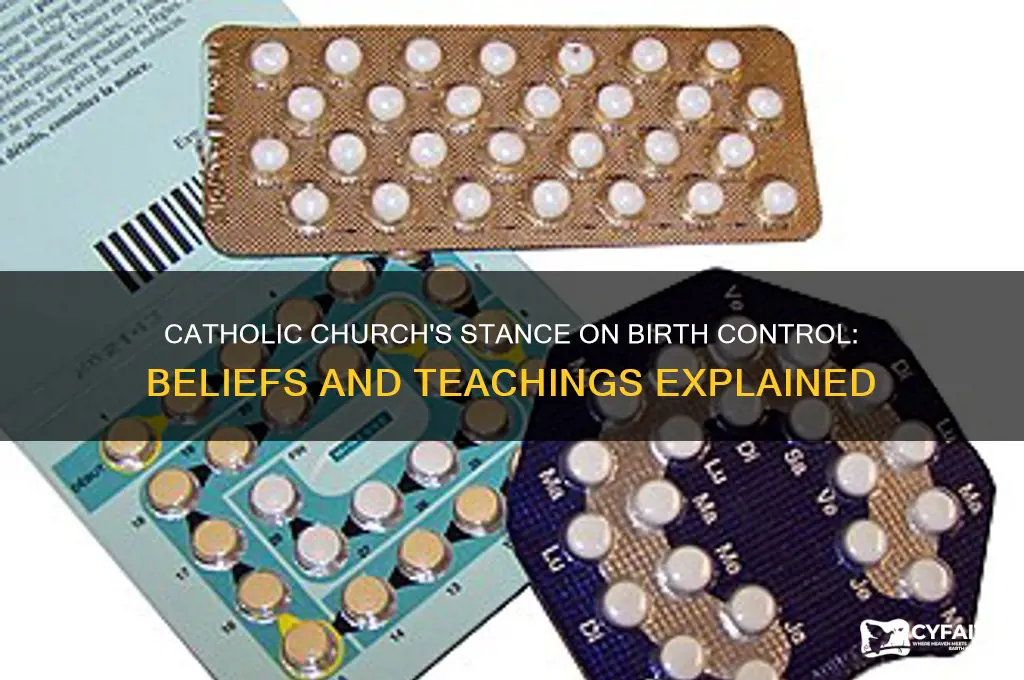 how does the catholic religion stand on birth control