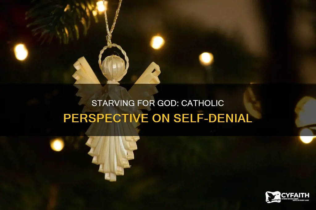 how does the catholic view of starving yourself